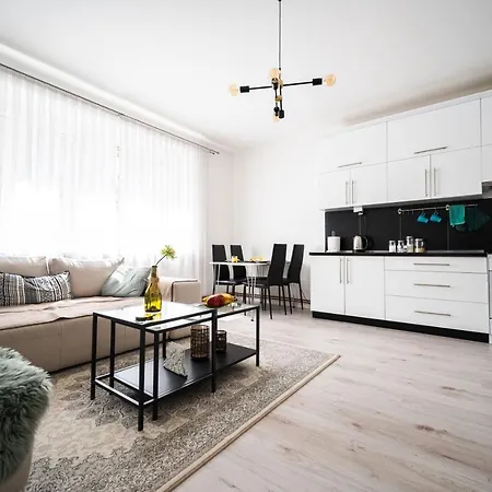 Modern 1bdr Near Center